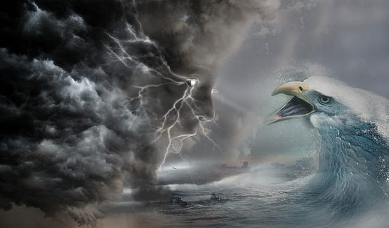 eagle sea wave illustration, fantasy, strom, dramatic, ocean, man head, cloud, eagle, head, wawe, dark, nature, outdoors, water, lightning, photoshop, blue, power, storm, power in nature, animal, animal themes, cloud - sky, sea, animal wildlife, animals in the wild, one animal, beauty in nature, sky, no people, sign, vertebrate, dramatic sky, ominous, rain, aggression, seagull, 1080P, CC0, public domain, royalty free