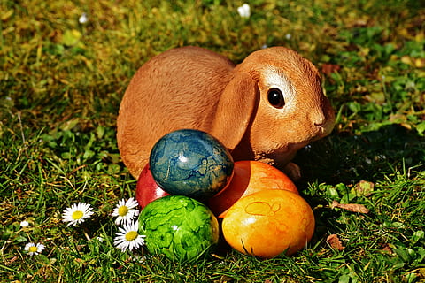 brown, rabbit, eastern, eggs, easter, easter bunny, egg, easter eggs, meadow, spring, happy easter, figure, grass, decoration, season, holiday, plant, land, food, nature, field, no people, animal, close-up, animal themes, celebration, food and drink, vertebrate, green color, day, animal wildlife, focus on foreground, freshness, 5K, CC0, public domain, royalty free