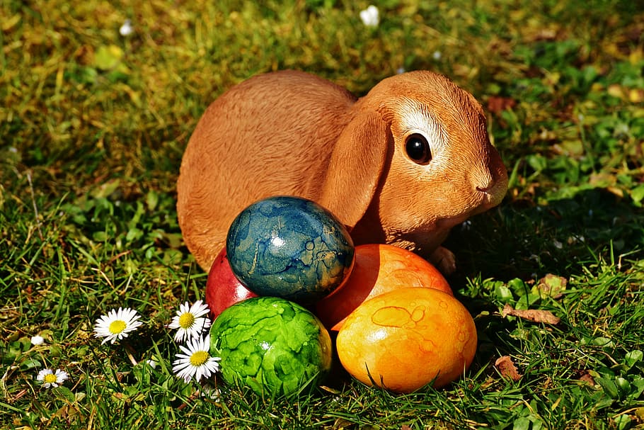 maro, iepure, de est, ouă, Paști, iepurașul de Paște, ou, oua de Paste, luncă, primăvară, Paste Fericit, figura, iarbă, decor, sezon, vacanţă, plantă, teren, alimente, natură, camp, nici o persoana, animal, a închide, animale tematice, celebrare, mancare si bautura, animale vertebrate, Culoarea verde, zi, animale sălbatice, să se concentreze asupra primelor elemente, prospeţime, 5K