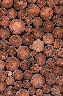 Schnittholz stampft, Nahansicht, Foto, braun, Korkhölzer, Holz, Muster, Schnitt, gehackt, Kreis, Vollbild, Hintergründe, keine Leute, Fülle, texturiert, große gruppe von gegenständen, Tag, Holz - Material, Bauholz, Wald, Baum, Natur, Stapel, Geometrische Figur, draußen, Umweltprobleme, 4K, CC0, gemeinfrei, lizenzfrei