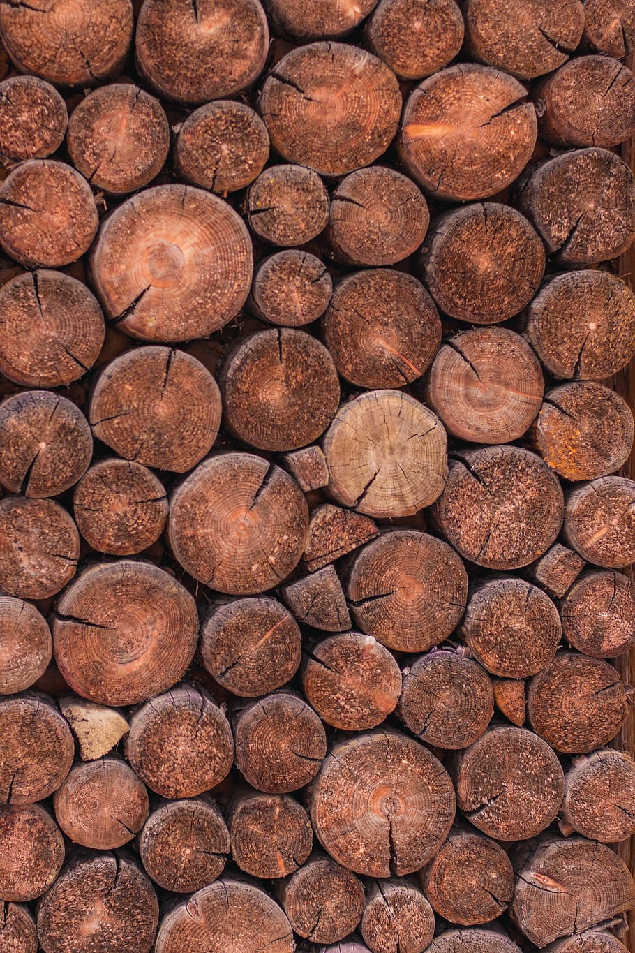 skære log stomps, tæt på, Foto, Brun, corkwoods, træ, mønster, skære, hakket, cirkel, fuld ramme, baggrunde, ingen mennesker, overflod, tekstureret, stor gruppe af objekter, dag, træ - materiale, tømmer, Skov, natur, stak, geometrisk form, udendørs, miljøspørgsmål, 4K