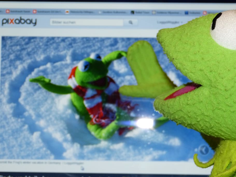 kermit, żaba, oglądanie, komputer, pixabay, widzieć, podgląd obrazu, pc, obrazy, podziwiać, patrzeć w przyszłość, reprezentacja, zielony kolor, żadnych ludzi, wewnątrz, zbliżenie, reprezentacja zwierząt, sztuki i rzemiosła, sport, zabawka, kreatywność, Natura, tematy zwierzęce, wielobarwne, część rośliny, liść, zwierzę, skupić się na pierwszym planie, martwa natura, papier, 4K
