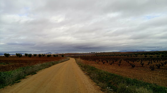 Pfad, Feld, Landschaft, Natur, Gehen, einfach, Landwirtschaft, ländliche Szene, Bauernhof, Himmel, Sommer-, draußen, szenen, wolke - himmel, Umgebung, Straße, Schotterstraße, Szenen - Natur, Richtung, Land, Transport, Schmutz, Pflanze, der Weg nach vorn, Gras, abnehmende Perspektive, keine Leute, halbtrocken, 4K, CC0, gemeinfrei, lizenzfrei