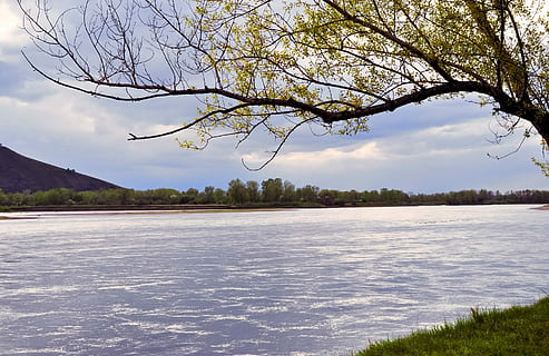 riu, paisatge, tempesta, núvols, cel, tempesta, núvols, herba, arbre, fulles, branques, estiu, verd, naturalesa, llac, arbre nu, escenics, aigua, planta, tranquil·litat, núvol - cel, cap gent, bellesa a la natura, escenics - natura, escena tranquil·la, branca, dia, a l'aire lliure, terra, creixement, tronc de l'arbre, 1080P, CC0, domini públic, lliure de regalies