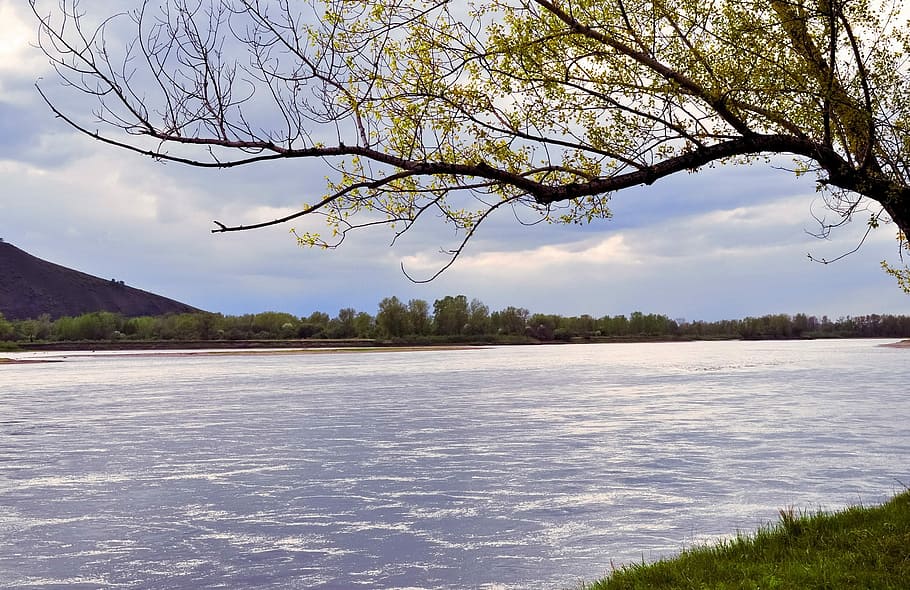 riu, paisatge, tempesta, núvols, cel, tempesta, núvols, herba, arbre, fulles, branques, estiu, verd, naturalesa, llac, arbre nu, escenics, aigua, planta, tranquil·litat, núvol - cel, cap gent, bellesa a la natura, escenics - natura, escena tranquil·la, branca, dia, a l'aire lliure, terra, creixement, tronc de l'arbre, 1080P
