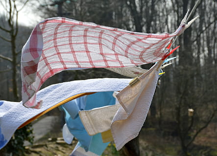 Laundry, Wind, Flutter, Blow, Live, outdoors, day, tree, winter, no people, close-up, textile, focus on foreground, clothing, nature, hanging, plant, drying, tree trunk, land, protection, trunk, clothesline, environment, scarf, 5K, CC0, public domain, royalty free