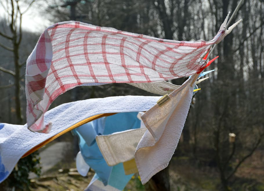 lavanderia, vento, svolazzare, soffio, vivere, all'aperto, giorno, albero, inverno, nessuno, avvicinamento, tessile, concentrarsi sulle conoscenze acquisite, capi di abbigliamento, natura, sospeso, pianta, essiccazione, tronco d'albero, terra, protezione, tronco, clothesline, ambiente, sciarpa, 5K