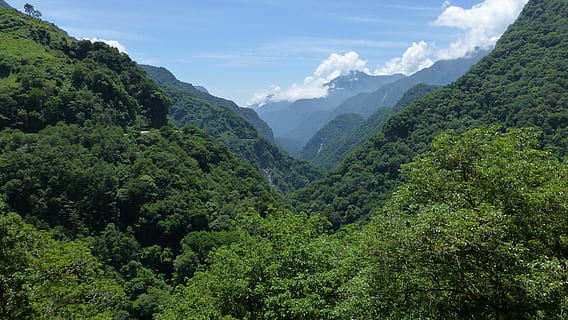 Zielony, Góra, drzewa, dzień, krajobraz, góry, widok, taroko, Tajwan, Natura, las, niebo, scenics, scenics - natura, piękno natury, drzewo, roślina, środowisko, zielony kolor, spokojna scena, spokój, chmura - niebo, wylądować, bujne liście, pasmo górskie, listowie, scena pozamiejska, idylliczny, żadnych ludzi, na dworze, Las deszczowy, drzewo iglaste, 4K, CC0, domena publiczna, darmowe zdjęcia