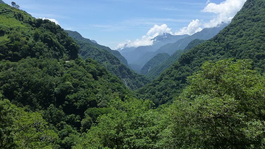 grøn, bjerg, træer, dagtimerne, landskab, bjerge, udsigt, Taroko, taiwan, natur, Skov, himmel, scenics, scenics - natur, skønhed i naturen, træ, plante, miljø, grøn farve, rolig scene, ro, sky - himmel, jord, frodig løv, bjergkæde, løv, ikke-urbane scene, idyllisk, ingen mennesker, udendørs, regnskov, nåletræ, 4K