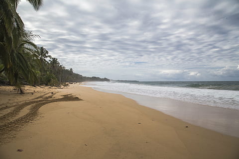 platja, sorra, taronja, ennuvolat, palmell, arbre, naturalesa, oceà, mar, aigua, horitzó, cel, estiu, vacances, Costa, viatjar, paradís, tropical, festa, relaxa't, sorra de platja, Riba, paisatge marí, illa, exòtic, ningú, línia de costa, descans, turisme, paisatge, a l'aire lliure, terra, núvol - cel, bellesa a la natura, tranquil·litat, escenics - natura, escena tranquil·la, cap gent, horitzó sobre l’aigua, dia, moviment, onada, lloc, 5K, CC0, domini públic, lliure de regalies
