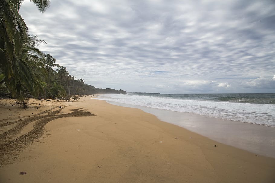 platja, sorra, taronja, ennuvolat, palmell, arbre, naturalesa, oceà, mar, aigua, horitzó, cel, estiu, vacances, Costa, viatjar, paradís, tropical, festa, relaxa't, sorra de platja, Riba, paisatge marí, illa, exòtic, ningú, línia de costa, descans, turisme, paisatge, a l'aire lliure, terra, núvol - cel, bellesa a la natura, tranquil·litat, escenics - natura, escena tranquil·la, cap gent, horitzó sobre l’aigua, dia, moviment, onada, lloc, 5K