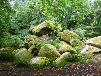 pădure, copac, lemn, râu, natură, verde, frunze, plantă, granit, stâncă, brittany, în aer liber, Culoarea verde, frumusețe în natură, solid, obiect de rocă, creştere, teren, nici o persoana, zi, apă, scenice - natura, liniște, scenă non-urbană, mușchi, apă curgătoare, curgere, 4K, CC0, domeniu public, fără drepturi de autor