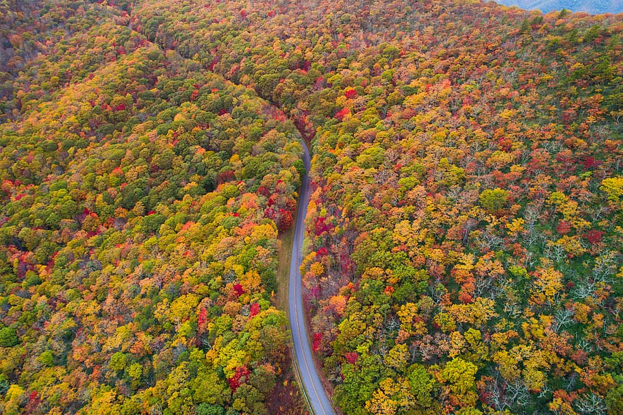 letecký, fotografie, zelená, Červené, žlutá, listoval, stromy, během dne, Pohled, Ach, silnice, strom, oranžový, podzim, krása v přírodě, rostlina, změna, růst, scenics - příroda, klid, životní prostředí, Příroda, vysoký úhel pohledu, krajina, nikdo, den, klidné scény, přistát, oranžová barva, mimoměstské scény, venku, podzimní kolekce, 5K