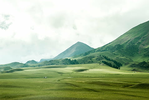 nuvoloso, campo, erba, Highlands, colline, paesaggio, prato, montagne, natura, cielo, alberi, cortile, montagna, Paesaggi, estate, collina, norcia, castelluccio, all'aperto, umbria, perugia, ambiente, colore verde, scenics - natura, scena tranquilla, bellezza nella natura, la tranquillità, nessuno, terra, scena non urbana, nuvola - cielo, pianta, giorno, golf, corso di golf, paesaggio ondulato, 4K, CC0, dominio pubblico, privo di copyright