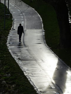 cykelsti, cykelsti netværk, gader, vejnet, vej, Trafik, cyklister, cykling, regn, våd, skinne, en person, rigtige mennesker, dag, fuld længde, bagfra, natur, herrer, livsstil, gå, retning, vejen frem, fritidsaktivitet, stående, silhuet, sollys, sti, plante, bevægelse, udendørs, 4K, CC0, offentligt domæne, royaltyfrie