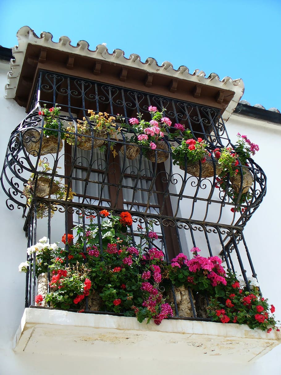 Fenster, die Architektur, Gitter, Fassade, altes Fenster, Gebäude, Blume, Topfpflanze, Fensterbox, Pflanze, Tag, draußen, blühende Pflanze, Natur, gebaute Struktur, Gebäudehülle, Flachwinkelansicht, Wachstum, Himmel, keine Leute, Frische, Zerbrechlichkeit, Verletzlichkeit, Blumentopf, Schönheit in der Natur, Sonnenlicht, 1080P