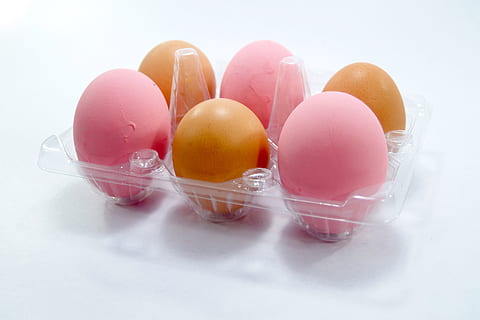 shot, Closeup, Easter eggs, food/Drink, easter, food, eggs, animal Egg, multi Colored, no People, close-up, pink color, white background, studio shot, healthcare and medicine, egg, indoors, vulnerability, fragility, still life, food and drink, group of objects, broken, celebration, nature, high angle view, cut out, egg yolk, 2K