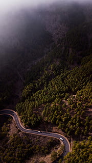 Două, vehicule, accelerare, drum, copaci, pasăre-ochi, Vezi poza, pavat, stradă, verde, leafed, pădure, copac, Munte, ceaţă, cețos, aburi, vânt puternic, călătorie, explora, întuneric, roadtrip, drumul montan, transport, curba, scenice - natura, mediu inconjurator, vedere în unghi mare, frumusețe în natură, plantă, nici o persoana, scenă non-urbană, mijloc de transport, natură, peisaj, drum serpuit, zi, vedere aeriene, teren, în aer liber, 2K, CC0, domeniu public, fără drepturi de autor
