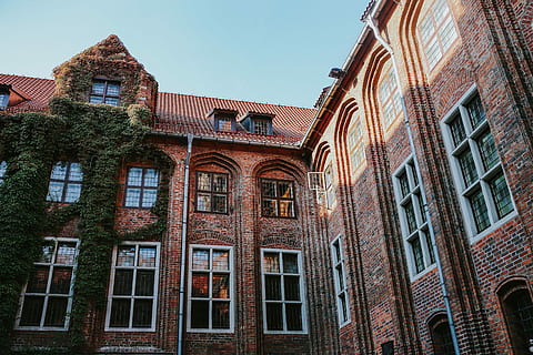 building, covered, vine, Old, architecture, street, red brick, building Exterior, window, built Structure, architecture And Buildings, facade, urban Scene, house, outdoors, low angle view, sky, residential district, day, no people, nature, city, clear sky, history, plant, tree, sunlight, brick, 5K, CC0, public domain, royalty free