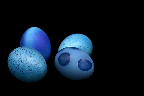 four assorted eggs, easter eggs, easter, happy easter, color, easter theme, colorful, delicious, cheerful, colored, boiled eggs, blue, cooked, hartgekocht, egg shaped, black background, egg, studio shot, indoors, no people, close-up, animal egg, still life, food, copy space, food and drink, easter egg, group of objects, holiday, animal, celebration, shape, pebble, 5K, CC0, public domain, royalty free