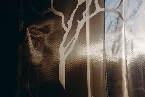 vinterljus, abstrakt, bakgrunder, fönster, gardin, inget folk, inomhus, dag, närbild, textil-, mönster, Kläder, full ram, hängande, material, solljus, natur, mjukhet, blommönster, 4K, CC0, offentligt domän, royaltyfria