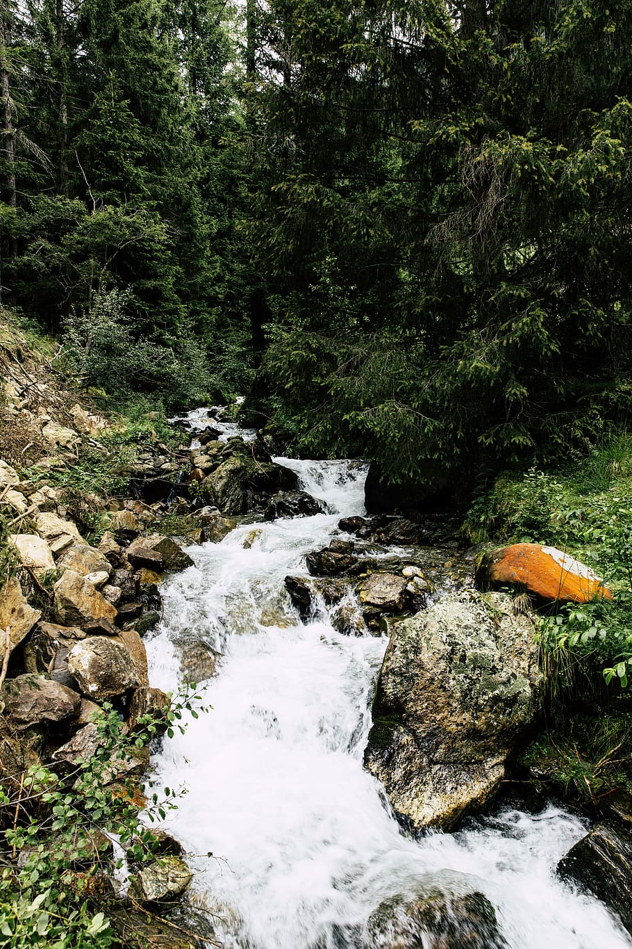 destino, Visão, ponto de vista, Mais, montanha, lazer, platô, lugares de interesse, turismo, feriado, caminhada, montanhismo, natureza, Parque Natural, floresta, Campos, panorama, Rocha, visão distante, previsão, montanhas, arvores, Tirol do Sul, alpino, dolomites, Itália, norte da itália, rio, cascata, rock - objeto, córrego - água corrente, agua, água corrente, plantar, beleza na natureza, árvore, sólido, movimento, terra, scenics - natureza, dia, ninguém, Exposição longa, fluindo, crescimento, ao ar livre, poder na natureza, 5K