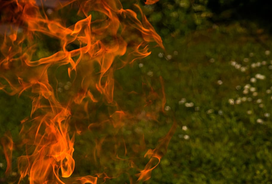 flame closeup photo, perillós, precaució, foc, calenta, barbacoa, rostit de patata, bol de foc, encendre, fum, flama, cremar, jardí, calor, foguera, groc, llum de foc, tancar, ecològicament neutral, bosc, càlid, protegir, calor - temperatura, cremant, naturalesa, moviment, foc - fenomen natural, cap gent, color taronja, primer pla, a l'aire lliure, medi ambient, moviment borrós, terra, camp, dia, brillant, senyal d'advertència, resum, infern, fons negre, 4K