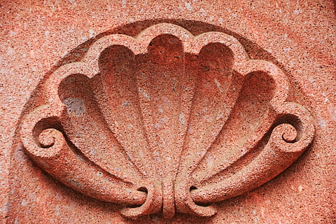Schale, Fassade, Struktur, Wand, Gebäude, die Architektur, Hintergrund, Steinwand, Symbolismus, Religion, Jakobsmuschel, Pilgerhülle, Ornament, Leipzig, Hausschmuck, Stein, roter Stein, Muster, Nahansicht, Kunst und Handwerk, keine Leute, Kreativität, texturiert, Liebe, Emotion, Design, rot, Herzform, positive Emotionen, Wandbau - Funktion, menschliche Darstellung, Kunst, Vollbild, drinnen, Darstellung, gestalten, Studioaufnahme, Blumenmuster, 5K, CC0, gemeinfrei, lizenzfrei