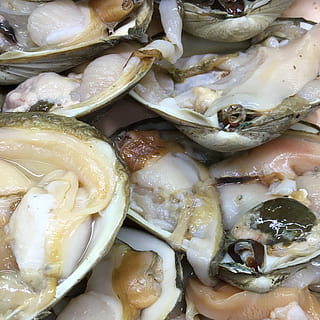 hjertemuslinger, frisk, skaldyr, rå, mad og drikke, mad, friskhed, sund kost, velvære, fuld ramme, fisk og skaldyr, stilleben, baggrunde, tæt på, fisk, indendørs, ingen mennesker, klar til at spise, rå fødevarer, høj vinkel visning, hvirveldyr, plade, dyr, overflod, 2K, CC0, offentligt domæne, royaltyfrie
