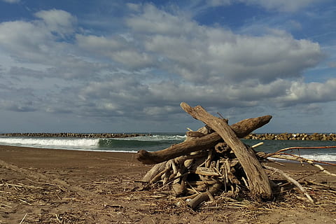 cer, nor, vânt, mare, plajă, lemn, Driftwood, lemne de foc, natural, peisaj, apă, teren, nor - cer, o scenă liniștită, scenice - natura, liniște, frumusețe în natură, natură, zi, nisip, orizont, lemn - material, nici o persoana, orizontul peste apă, în aer liber, planta moartă, 4K, CC0, domeniu public, fără drepturi de autor