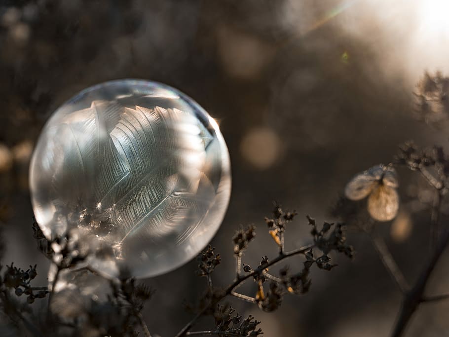 mělký, zaměření fotografie, bubliny, zaostřovací fotografie, bublina, zamrzlý, textura, led, Studený, zimní, slunečního světla, strom, větev, zmrazené bubliny, detail, koule, nikdo, zranitelnost, křehkost, Příroda, rostlina, lesklý, selektivní zaměření, zaměřit se na popředí, odraz, geometrický tvar, stříbrné barvy, krása v přírodě, průhledný, uvnitř, kruh, tvar, 4K