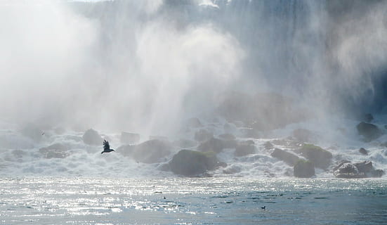fugl, flyvende, vand, vandfald, flod, landskab, niagara falls, amerikanske fald, tåge, udendørs, flyder, hav, skønhed i naturen, himmel, natur, scenics - natur, dag, sky - himmel, bevægelse, sollys, ingen mennesker, rejsemål, rejse, miljø, jord, magt i naturen, ildevarslende, 1080P, CC0, offentligt domæne, royaltyfrie