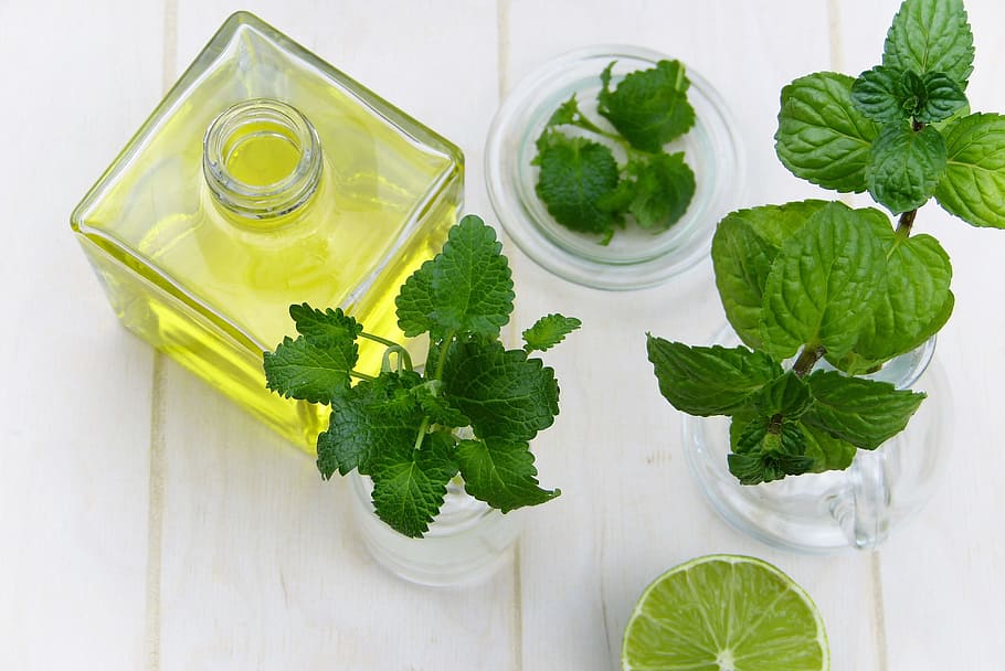 høj, vinkelfotografering, Citron, plante, olie, flaske, blad, mynte, urt, sund og rask, mad, essentielle olier, ernæring, lægeplante, frisch, velsigne dig, pebermynte, balsam, medicinske planter, alternativ medicin, immunsystem, depression, skønhed, krops pleje, aromaterapi, duft, wellness, vitaminer, mad og drikke, sund kost, velvære, friskhed, grøn farve, plante del, mynteblad - kulinarisk, grøntsag, indendørs, studio skud, sund livsstil, grøn, drikkeglas, husholdningsudstyr, spinat, ingen mennesker, glas, Vegetarmad, slankekure, 4K