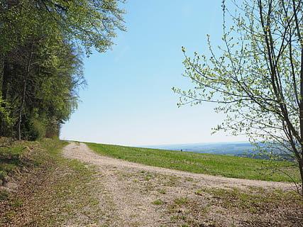 des champs, signalé, les forêts, chemin forestier, sentier, chemin, forêt, la nature, Piste, randonnée, Lauterach, Baden Württemberg, plante, ciel, route, arbre, tranquillité, la voie à suivre, scène tranquille, beauté dans la nature, direction, paysages - nature, croissance, journée, scène non urbaine, personne, paysage, perspective décroissante, transport, ciel clair, environnement, en plein air, 4K, CC0, domaine public, libre de droits
