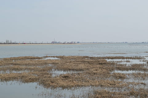 widoki, krajobraz, zimowy, woda, niebo, trawa, Natura, dzień, wylądować, plaża, scenics - natura, roślina, żadnych ludzi, jezioro, spokojna scena, spokój, piękno natury, środowisko, scena pozamiejska, na dworze, bagno, 5K, CC0, domena publiczna, darmowe zdjęcia