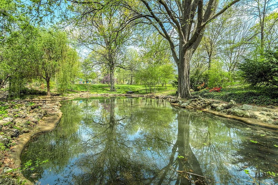 parc, estany, reflexió, paisatge, aigua, naturalesa, arbre, piscina, planta, tranquil·litat, bellesa a la natura, creixement, llac, escenics - natura, dia, escena tranquil·la, bosc, color verd, cap gent, terra, tronc de l'arbre, tronc, a l'aire lliure, 1080P
