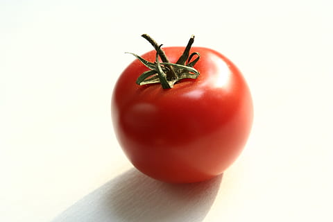 vermelho, tomate, bege, superfície, legumes, cereja, close-up de tomates, comida e bebida, Comida, Alimentação saudável, fruta, bem-estar, vegetal, frescura, único objeto, tiro do estúdio, fechar-se, dentro de casa, fundo branco, comida crua, ainda vida, ninguém, Cortar fora, orgânico, caule vegetal, maduro, 2K, CC0, domínio público, royalty free