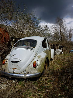 VW Käfer, Auto, Oldtimer, klassisch, vw, Fahrzeug, Käfer, Volkswagen, alt, Automobil, Wagen, rostfrei, Wrack, Baum, kahler Baum, wolke - himmel, Transport, draußen, Transportmittel, Pflanze, Landfahrzeug, Kraftfahrzeug, verlassen, Land, Natur, Feld, Tag, keine Leute, beschädigt, Himmel, obsolet, Gras, Verschlechterung, ruiniert, zerstört, 2K, CC0, gemeinfrei, lizenzfrei