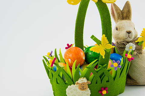 beix, conill, al costat, cistella, Pasqua, cistella, ous de Pasqua, color, Pasqua, ou, colorit, decoració, llebre, osterkorb, conill de Pasqua, aïllat, tancar, niu de Pasqua, Feliç Pasqua, gàbia de conill, flors, primavera, salutació de pasqua, pintura d'ous de Pasqua, infern, de colors, artificial, blanc, fons, papallona, sentit, paleta de colors, groc, frisch, estudi, ou de Pasqua, flor, celebració, cultures, representació animal, representació, cap gent, tir de l'estudi, festa, natura morta, a l'interior, joguina de peluix, art i artesania, menjar, joguina, planta amb flors, creativitat, pastís de pasqua, 5K, CC0, domini públic, lliure de regalies