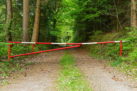 barjeras, draudimas, miškas, kelias, užrakinti, miško kelias, pabaiga, pobūdį, lauke, medis, žalia spalva, Sportas, dieną, nėra žmonių, augalų, žemės, augimą, ramybė, grožis gamtoje, turėklai, ne miesto scenoje, medžio kamienas, bagažinė, ramioje scenoje, ryšį, saugumą, 5K, CC0, Viešasis domenas, nemokamai