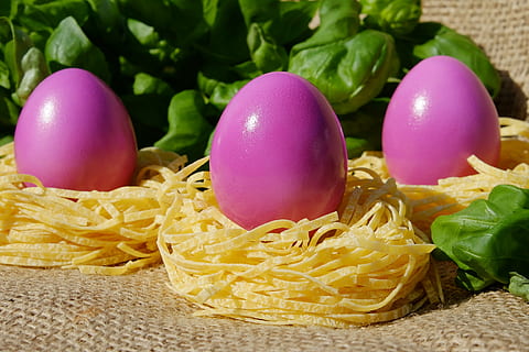 drie, roze, eieren van pluimvee, pasta, ei, gekleurde, Pasen, Pasen nest, nest, noedel, basilicum, natuurlijk product, gelukkig Pasen, decoratie, eten en drinken, binnenshuis, multi gekleurd, voedsel, gezond eten, geen mensen, detailopname, versheid, dag, stilleven, Italiaans eten, groente, welzijn, rauw eten, tomaat, fruit, roze kleur, maaltijd, aardewerk, 4K, CC0, publiek domein, royaltyvrij