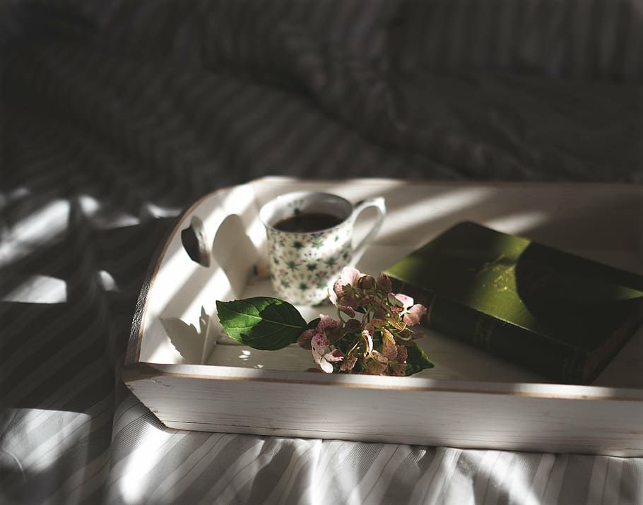 tassa, blanc, fusta, safata, sabó, te, llibre, llit, beure, oci, relaxació, decoració, pissarra, casa, vivent, begudes, flor, tetera, calenta, acollidor, cap de setmana, còmode, menjar i beguda, a l'interior, menjar, cap gent, bol, alimentació saludable, placa, forquilla, tir de l'estudi, primer pla, taula, natura morta, frescor, naturalesa, ombra, llum solar, vista d’angle alt, planta, indulgència, llest per menjar, mobles, menjar dolç, planta amb flors, dolç, temptació, 4K