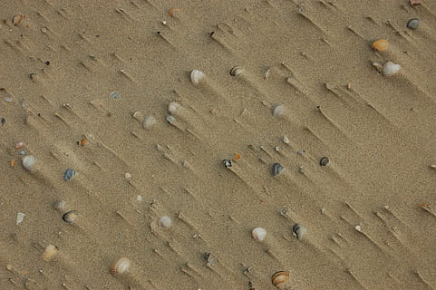 Sandstrand, Muscheln, Sommerferien, Sand, Strand, Sommer-, Urlaub, wenig, Hintergründe, Natur, Muster, texturiert, Tag, keine Leute, draußen, Land, High Angle View, Vollbild, braun, Fußabdruck, Ruhe, Schale, Sonnenlicht, Tier, Schönheit in der Natur, Meer, Spur - Impressum, Kieselstein, 2K, CC0, gemeinfrei, lizenzfrei