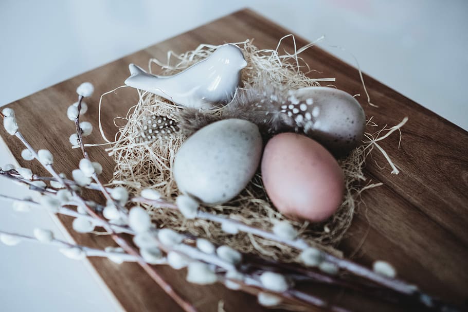 Basso, fotografia leggera, tre, decorativo, uova, nido, assortito colori, decorazione della parete delle uova, uccello, Pasqua, primavera, blu, rosso, uovo, cibo, cibo e bevande, messa a fuoco selettiva, nessuno, in casa, avvicinamento, decorazione, tavolo, natura morta, nido d'animali, vulnerabilità, celebrazione, vacanza, fragilità, legno - materiale, freschezza, uovo animale, mangiare sano, 5K