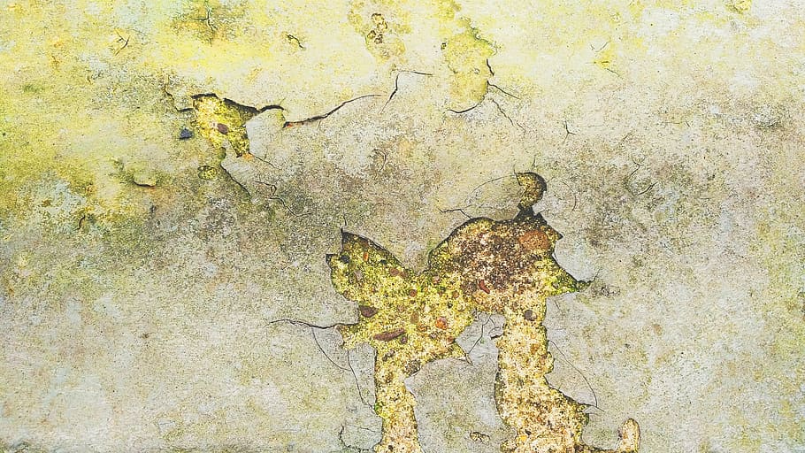 paviment de formigó gris, resum, teló de fons, fons, concret, esquerdat, esquerdes, angoixat, pis, gris, material, aspre, ratllat, pedra, estructura, textura, urbà, paret, fons de pantalla, temes d'animals, fauna animal, animals a la natura, dia, un animal, cap gent, a l'aire lliure, naturalesa, ocell, primer pla, marc complet, resistent, vell, espatllat, estructura construïda, declivi, funció de construcció de parets, deteriorament, mal estat, aixafar, pelat, descamació, liquen, arruïnat, 5K