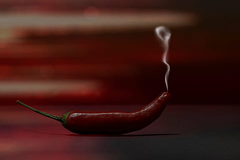 rot kühl, Peperoni, Scharf, Chili, rot, Paprika, fruchtig scharf, Gemüse, würzen, Küche, Flamme, Essen, Schoten, Chilischoten, feurig, Schärfe, Feuer, Pfeffer, Rauch, Studio, Lebensmittel, Jahreszeit, Essen und Trinken, drinnen, gesundes Essen, Frische, keine Leute, Nahansicht, Wohlbefinden, Studioaufnahme, Chili-Pfeffer, Einfachheit, farbiger Hintergrund, selektiver Fokus, Stillleben, einzelnes Objekt, Fokus auf den Vordergrund, rote Chilischote, 1080P, CC0, gemeinfrei, lizenzfrei