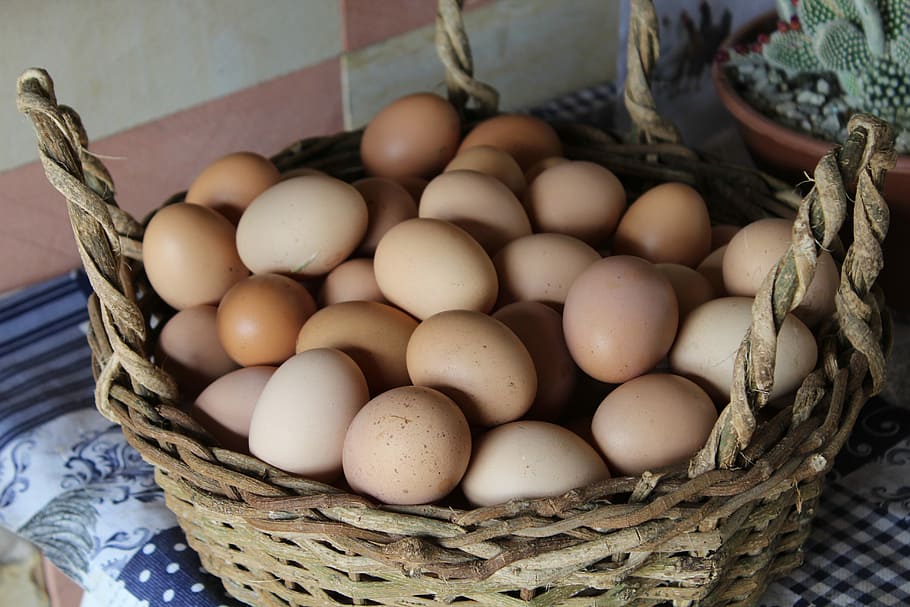 uova, Marrone, cesto di vimini, uova di gallina, cestino, cucina, cactus, fresco, uovo, contenitore, cibo, cibo e bevande, freschezza, vista dall'alto, di vimini, mangiare sano, benessere, nessuno, avvicinamento, uovo animale, grande gruppo di oggetti, abbondanza, cibo crudo, giorno, concentrarsi sulle conoscenze acquisite, natura morta, gruppo di oggetti, 5K