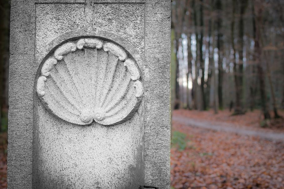ornament, shell, kámen, znaky, symbol, pouť, udělejte pouť, migračního charakteru, adresář, podzim, pilíř, umění, rock carving, nikdo, den, venku, hřbitov, detail, umění a řemesla, zastoupení, hrob, zaměřit se na popředí, řemeslo, lidské zastoupení, sochařství, kamenný materiál, Příroda, náboženství, starý, architektura, 5K