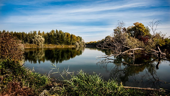 natur, himmel, vand, skyer, efterår, dagslys, græs, sø, udendørs, fredsommelig, pool, afspejling, flod, naturskøn, rejse, træer, kviste, udsigt, skov, plante, træ, ro, skønhed i naturen, rolig scene, scenics - natur, sky - himmel, ingen mennesker, ikke-urbane scene, vækst, dag, landskab, refleksions søen, 4K, CC0, offentligt domæne, royaltyfrie