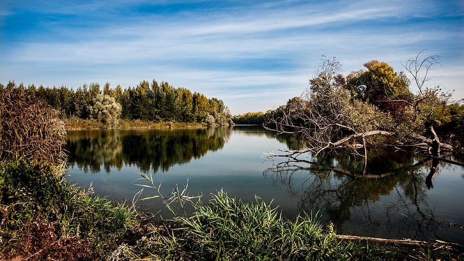 natur, himmel, vand, skyer, efterår, dagslys, græs, sø, udendørs, fredsommelig, pool, afspejling, flod, naturskøn, rejse, træer, kviste, udsigt, skov, plante, træ, ro, skønhed i naturen, rolig scene, scenics - natur, sky - himmel, ingen mennesker, ikke-urbane scene, vækst, dag, landskab, refleksions søen, 4K